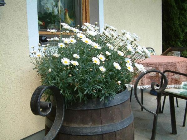 Pension Liesertalerhof Trebesing Εξωτερικό φωτογραφία